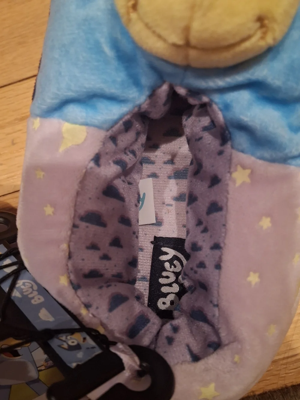 Bluey branded kids